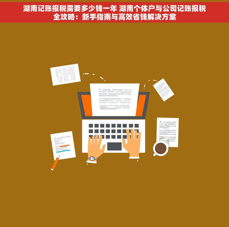 湖南记账报税需要多少钱一年 湖南个体户与公司记账报税全攻略：新手指南与高效省钱解决方案