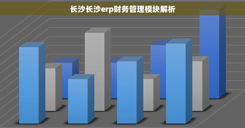 长沙长沙erp财务管理模块解析