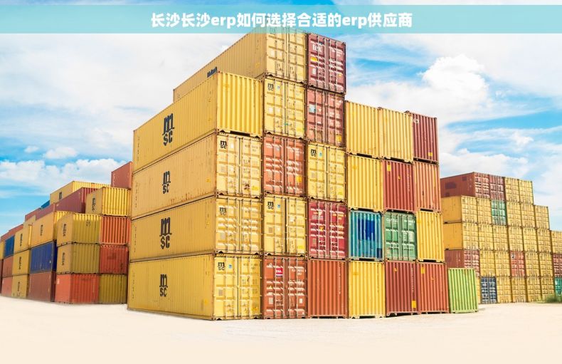 长沙长沙erp如何选择合适的erp供应商