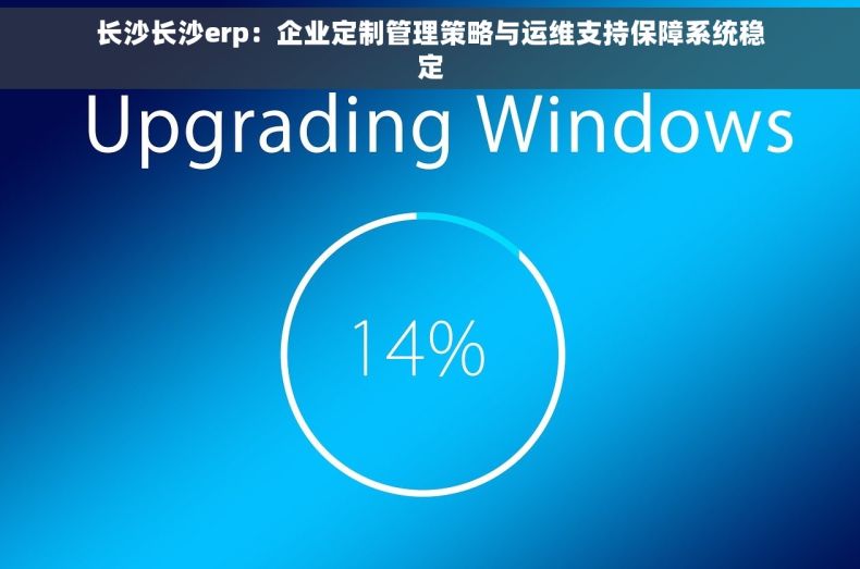 长沙长沙erp：企业定制管理策略与运维支持保障系统稳定