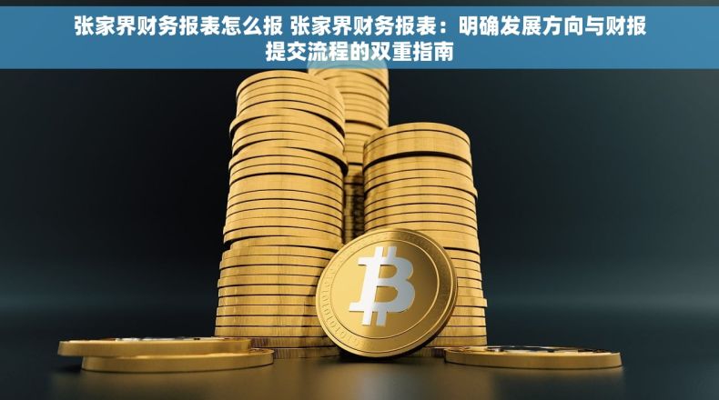 张家界财务报表怎么报 张家界财务报表：明确发展方向与财报提交流程的双重指南