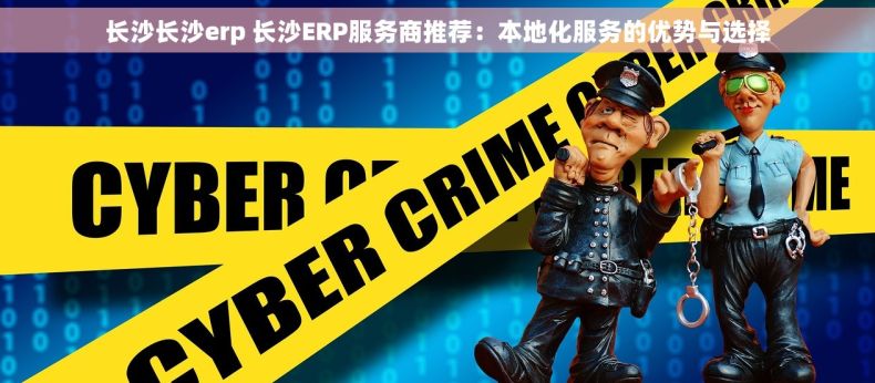长沙长沙erp 长沙ERP服务商推荐：本地化服务的优势与选择
