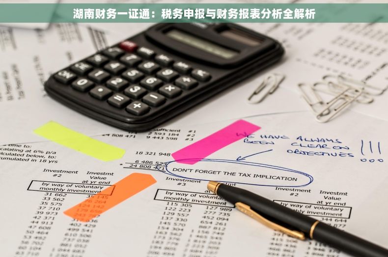 湖南财务一证通：税务申报与财务报表分析全解析