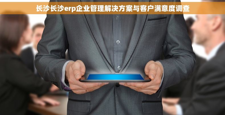长沙长沙erp企业管理解决方案与客户满意度调查