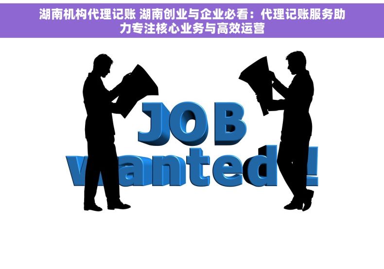 湖南机构代理记账 湖南创业与企业必看：代理记账服务助力专注核心业务与高效运营