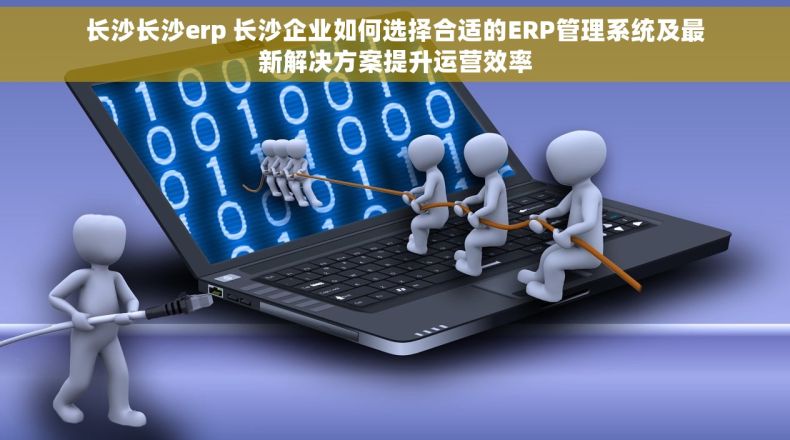 长沙长沙erp 长沙企业如何选择合适的ERP管理系统及最新解决方案提升运营效率