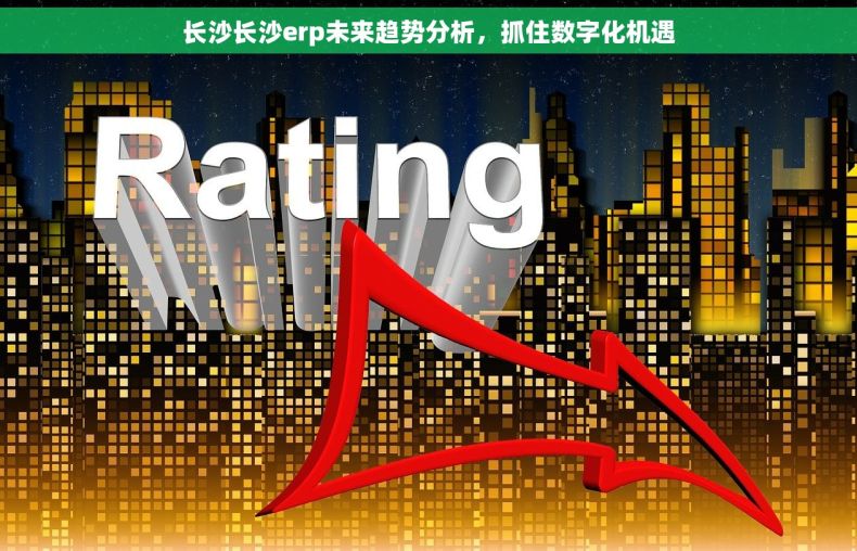 长沙长沙erp未来趋势分析，抓住数字化机遇