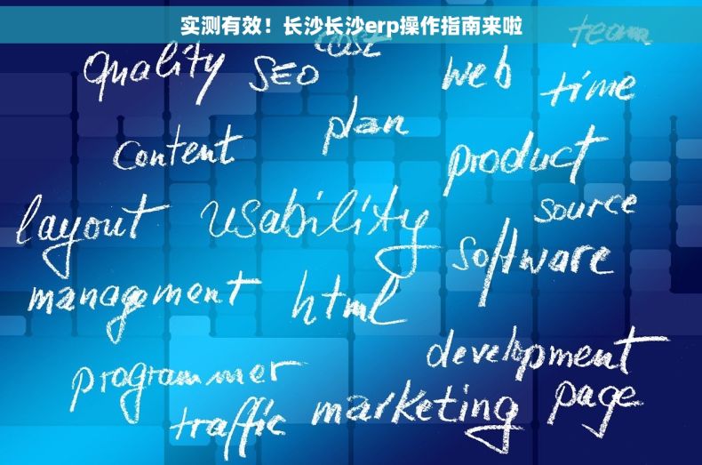 实测有效！长沙长沙erp操作指南来啦