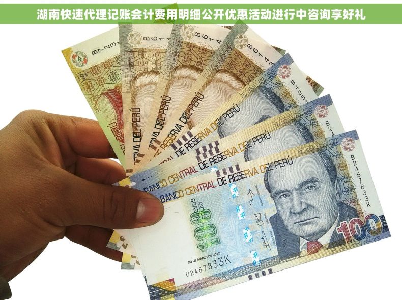 湖南快速代理记账会计费用明细公开优惠活动进行中咨询享好礼