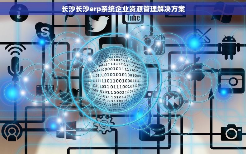 长沙长沙erp系统企业资源管理解决方案