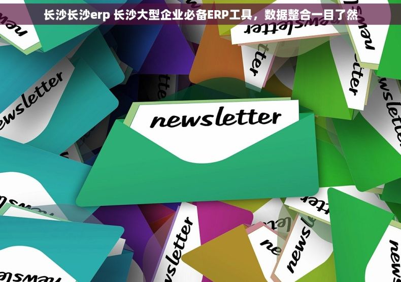 长沙长沙erp 长沙大型企业必备ERP工具，数据整合一目了然