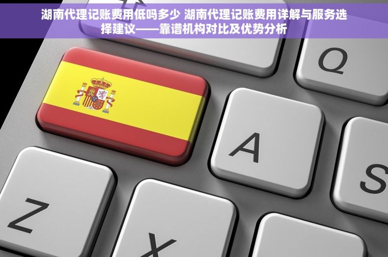 湖南代理记账费用低吗多少 湖南代理记账费用详解与服务选择建议——靠谱机构对比及优势分析
