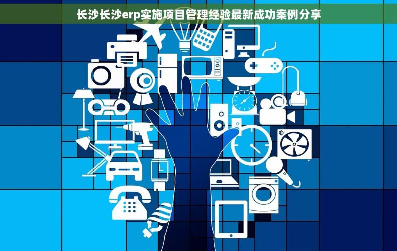 长沙长沙erp实施项目管理经验最新成功案例分享