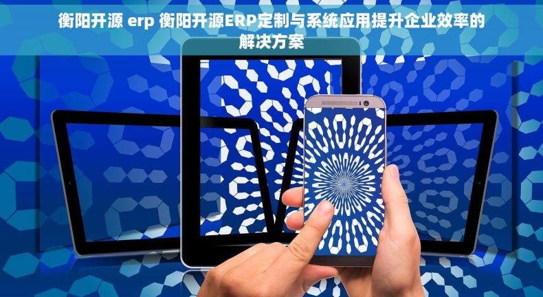 衡阳开源 erp 衡阳开源ERP定制与系统应用提升企业效率的解决方案