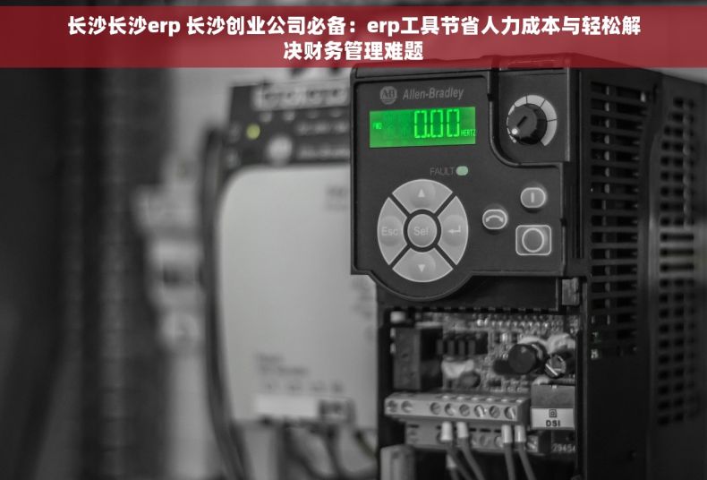 长沙长沙erp 长沙创业公司必备：erp工具节省人力成本与轻松解决财务管理难题