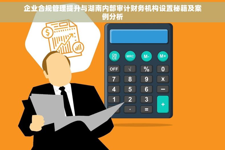 企业合规管理提升与湖南内部审计财务机构设置秘籍及案例分析