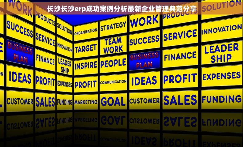 长沙长沙erp成功案例分析最新企业管理典范分享