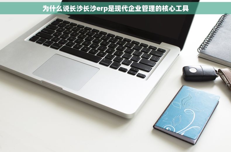 为什么说长沙长沙erp是现代企业管理的核心工具