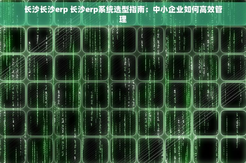 长沙长沙erp 长沙erp系统选型指南：中小企业如何高效管理