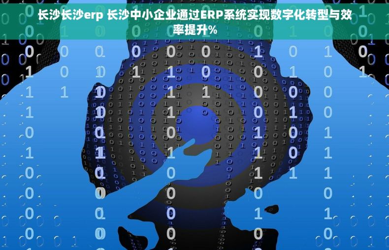 长沙长沙erp 长沙中小企业通过ERP系统实现数字化转型与效率提升%