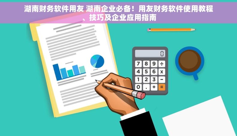 湖南财务软件用友 湖南企业必备！用友财务软件使用教程、技巧及企业应用指南