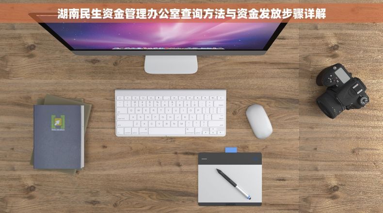 湖南民生资金管理办公室查询方法与资金发放步骤详解