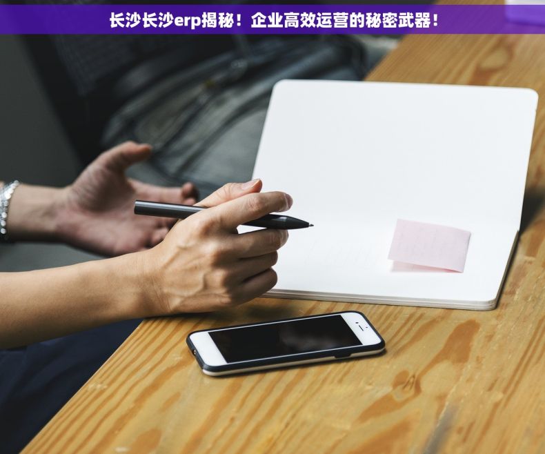 长沙长沙erp揭秘！企业高效运营的秘密武器！