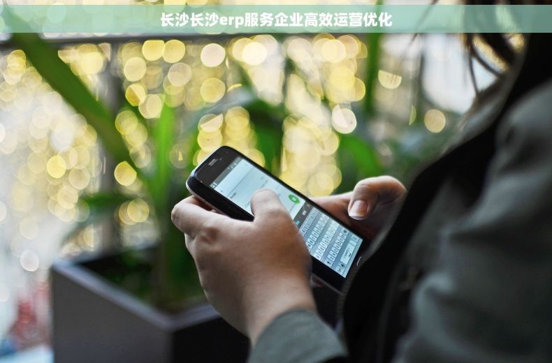 长沙长沙erp服务企业高效运营优化