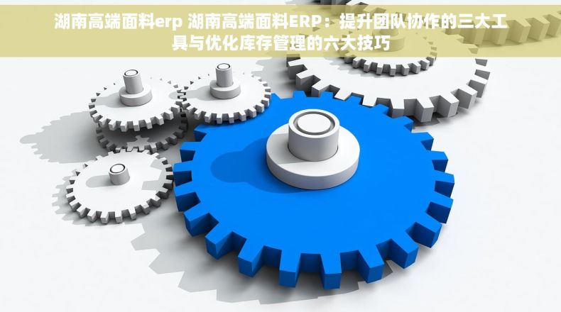 湖南高端面料erp 湖南高端面料ERP：提升团队协作的三大工具与优化库存管理的六大技巧