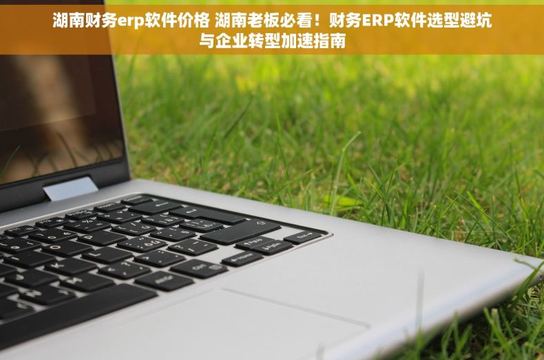 湖南财务erp软件价格 湖南老板必看！财务ERP软件选型避坑与企业转型加速指南