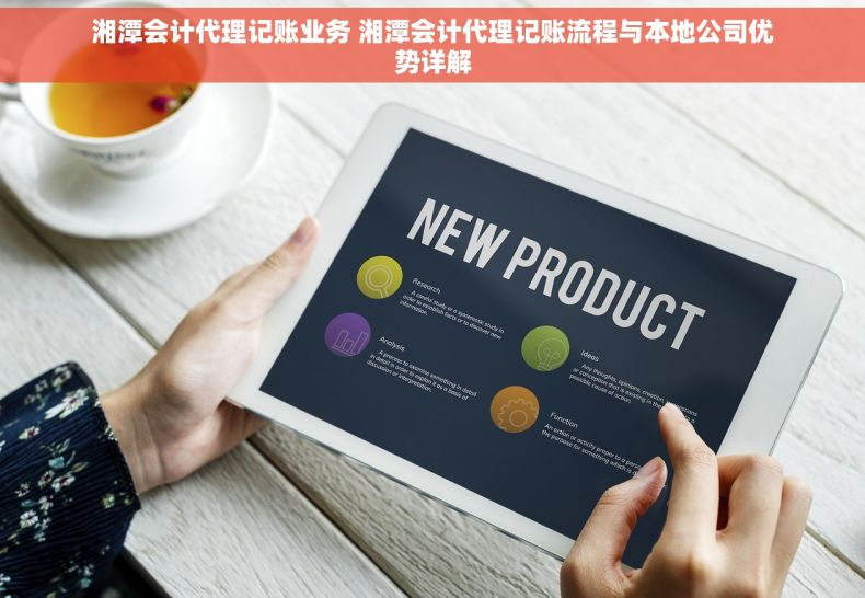 湘潭会计代理记账业务 湘潭会计代理记账流程与本地公司优势详解