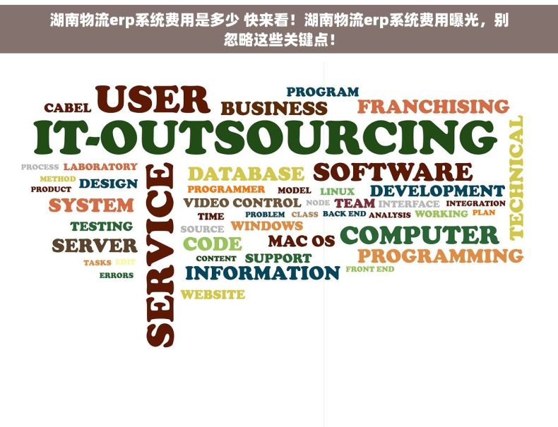 湖南物流erp系统费用是多少 快来看！湖南物流erp系统费用曝光，别忽略这些关键点！