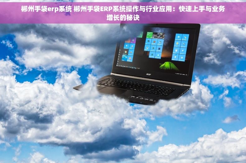 郴州手袋erp系统 郴州手袋ERP系统操作与行业应用：快速上手与业务增长的秘诀
