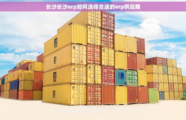 长沙长沙erp如何选择合适的erp供应商
