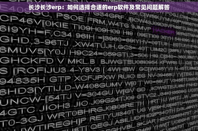 长沙长沙erp：如何选择合适的erp软件及常见问题解答