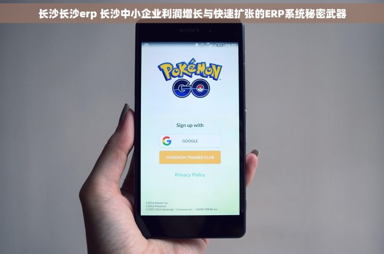 长沙长沙erp 长沙中小企业利润增长与快速扩张的ERP系统秘密武器