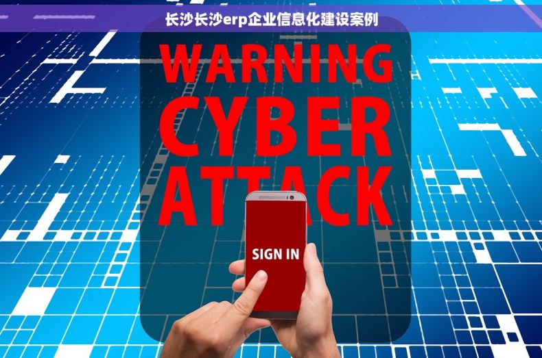 长沙长沙erp企业信息化建设案例