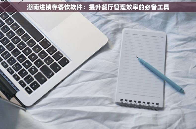 湖南进销存餐饮软件：提升餐厅管理效率的必备工具