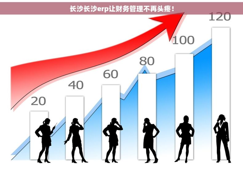 长沙长沙erp让财务管理不再头疼！