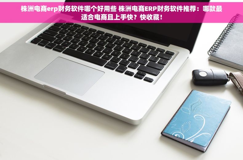 株洲电商erp财务软件哪个好用些 株洲电商ERP财务软件推荐：哪款最适合电商且上手快？快收藏！