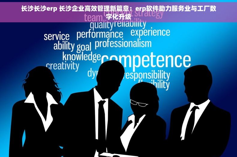 长沙长沙erp 长沙企业高效管理新篇章：erp软件助力服务业与工厂数字化升级