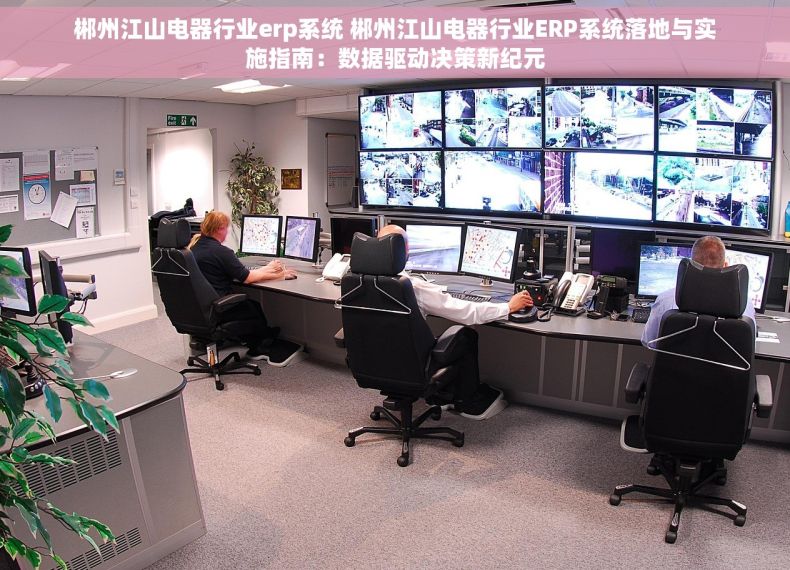 郴州江山电器行业erp系统 郴州江山电器行业ERP系统落地与实施指南：数据驱动决策新纪元