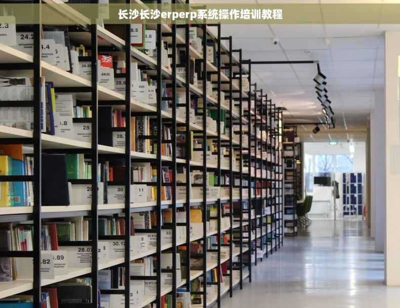 长沙长沙erperp系统操作培训教程