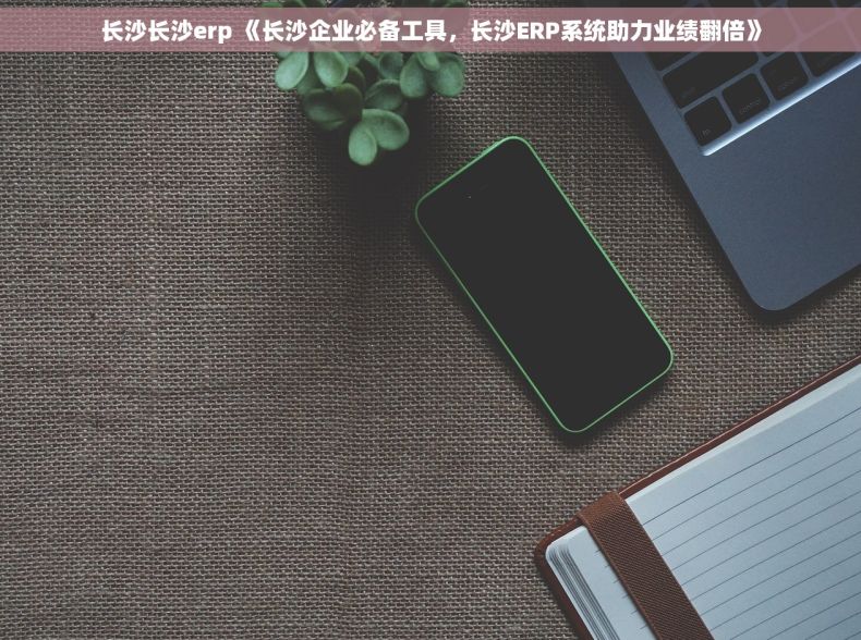 长沙长沙erp 《长沙企业必备工具，长沙ERP系统助力业绩翻倍》