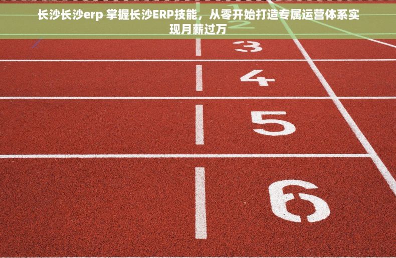 长沙长沙erp 掌握长沙ERP技能，从零开始打造专属运营体系实现月薪过万