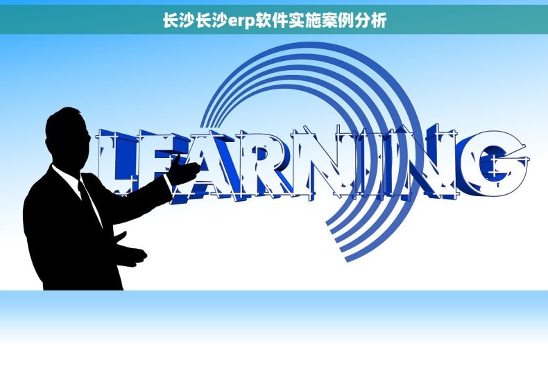 长沙长沙erp软件实施案例分析