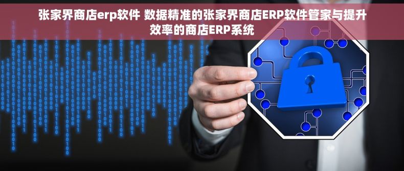 张家界商店erp软件 数据精准的张家界商店ERP软件管家与提升效率的商店ERP系统