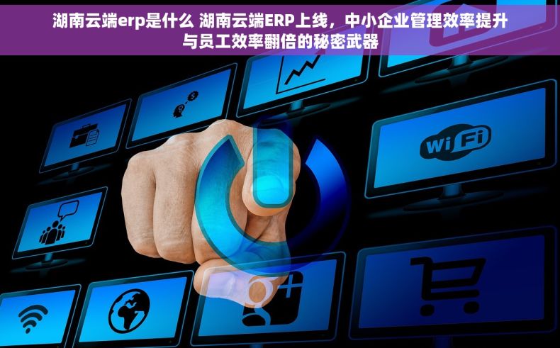 湖南云端erp是什么 湖南云端ERP上线，中小企业管理效率提升与员工效率翻倍的秘密武器