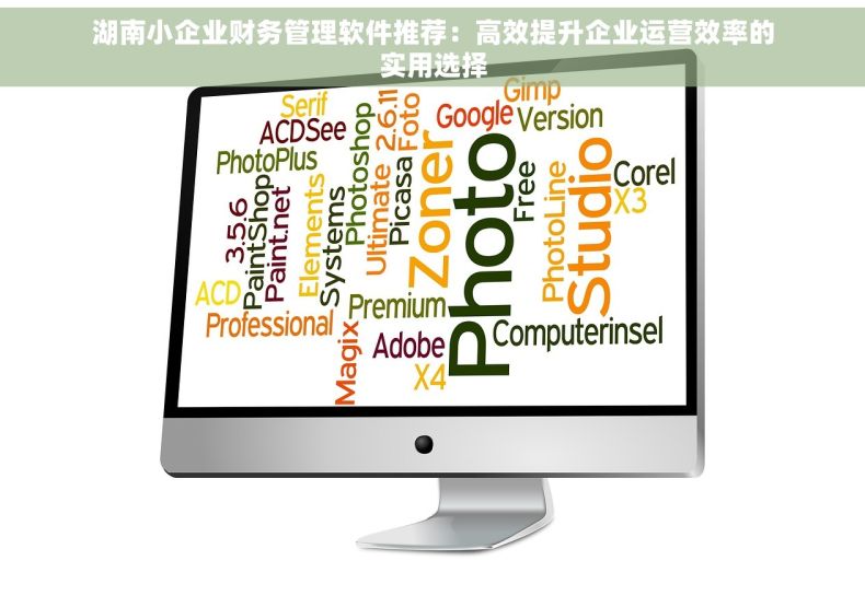湖南小企业财务管理软件推荐：高效提升企业运营效率的实用选择