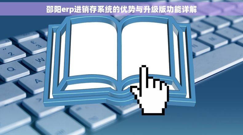 邵阳erp进销存系统的优势与升级版功能详解